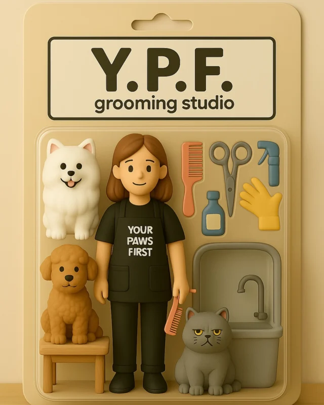 Imagine if Y.P.F. turned into mini toy figures… Well, here it is! Swipe to see our grooming studio, pet hotel, and boutique in mini collectible form! 🐾🐶🐱

Which set would you love to take home? 😍
